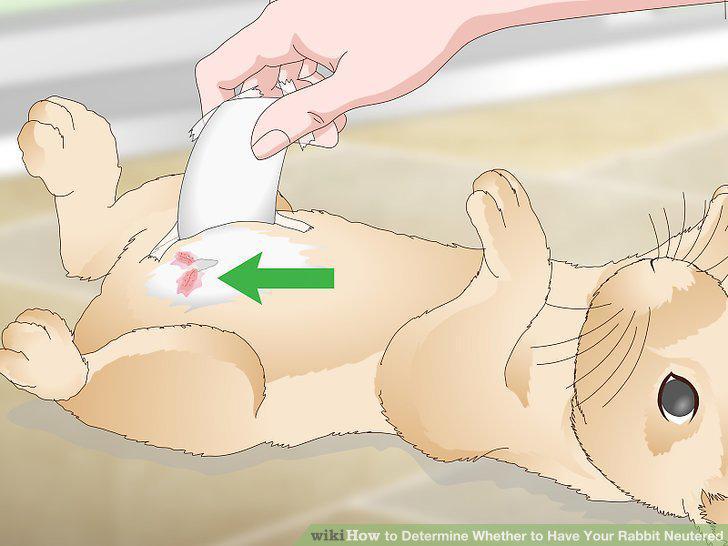 Step 12