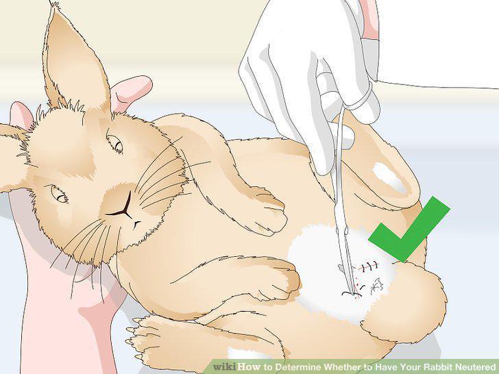 Step 13