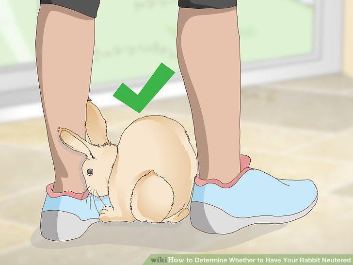 Step 4