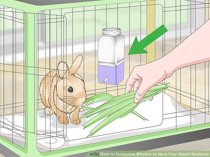 Step 9