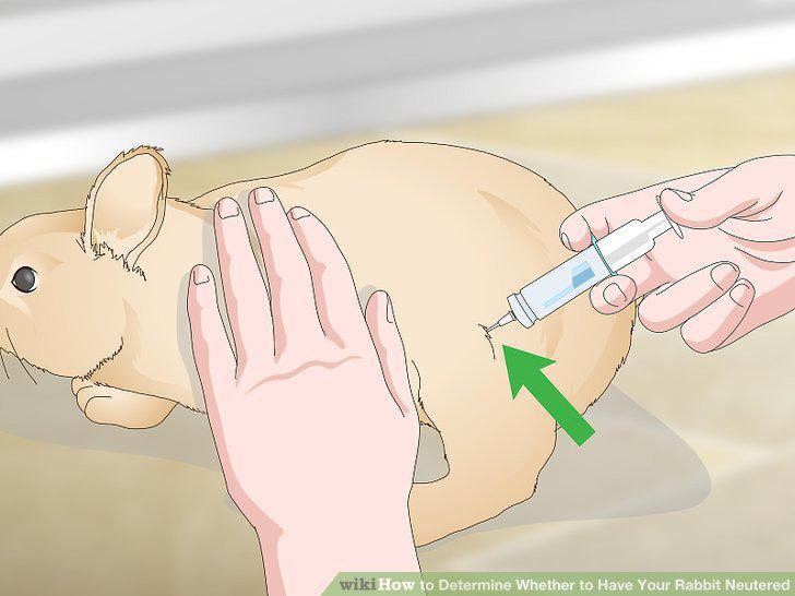 Step 10