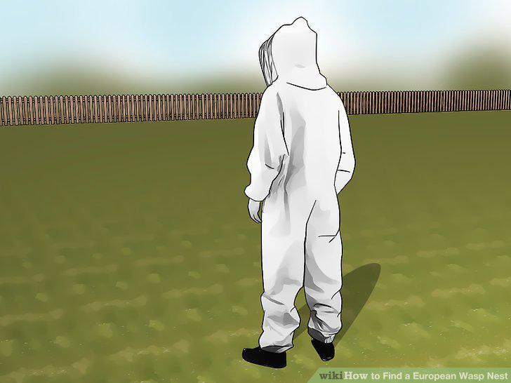 Step 12