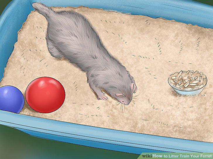 Step 11