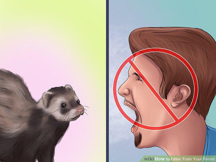 Step 12