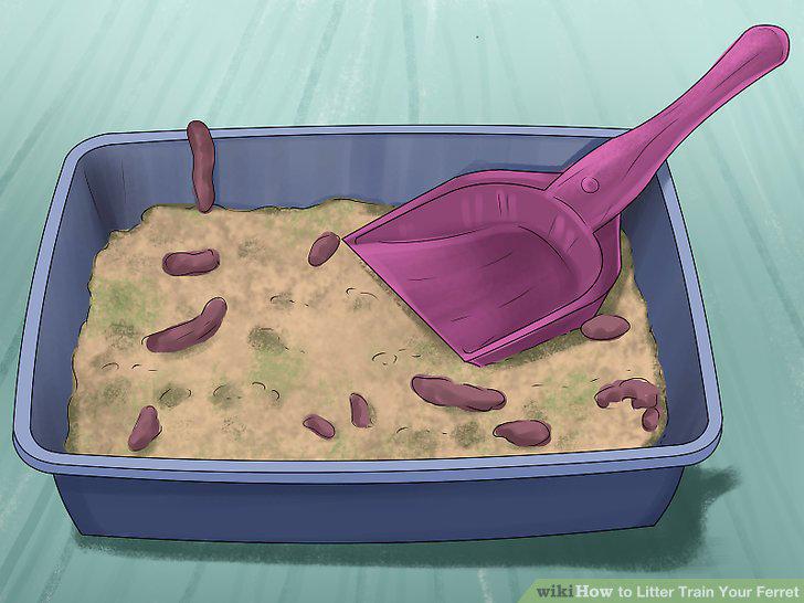 Step 4