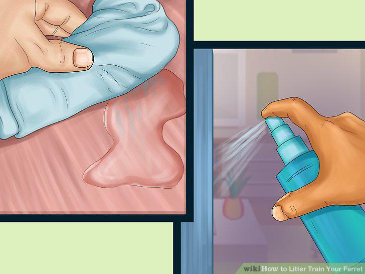 Step 9