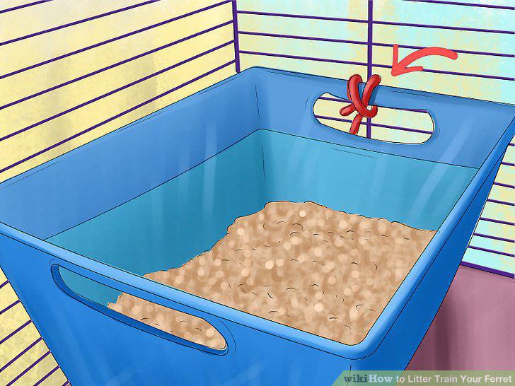 Step 10