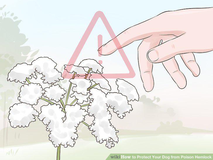 Step 10