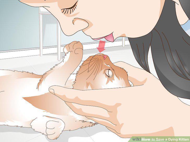 Step 5