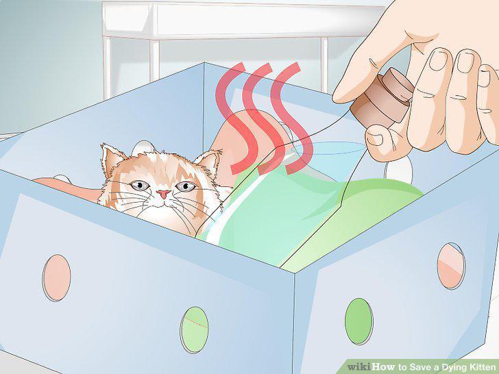 Step 7