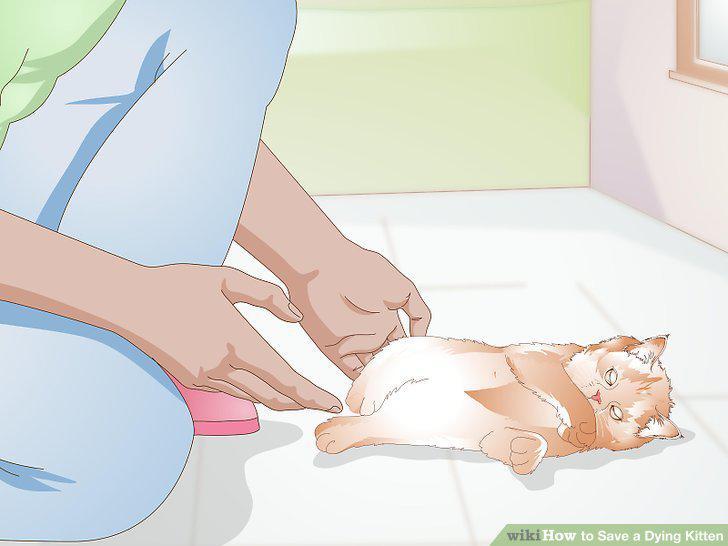 Step 9