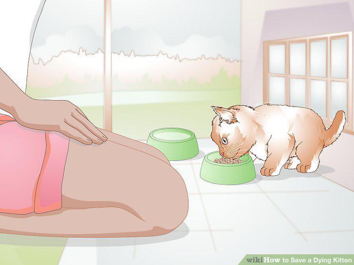 Step 10
