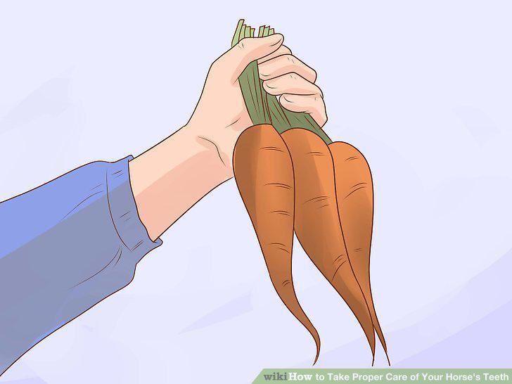 Step 11