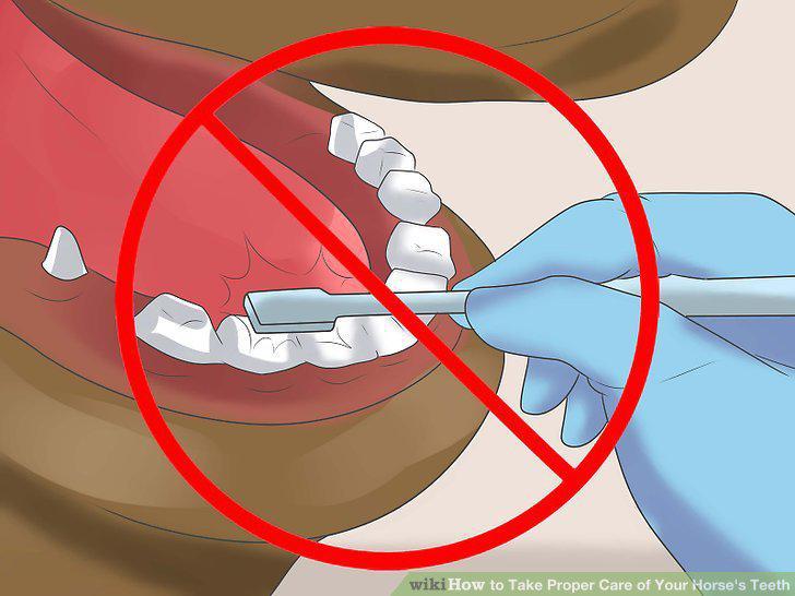 Step 12