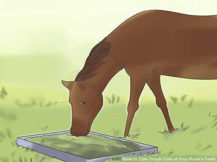 Step 13
