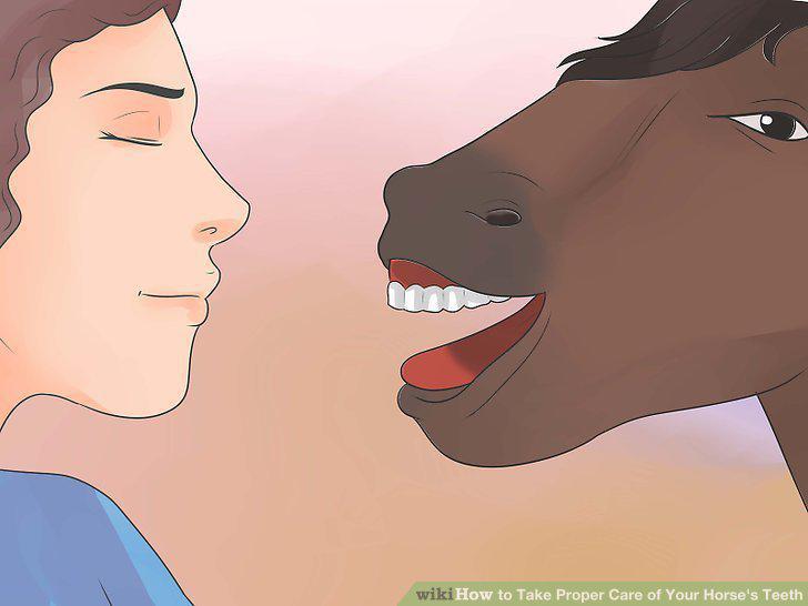 Step 15