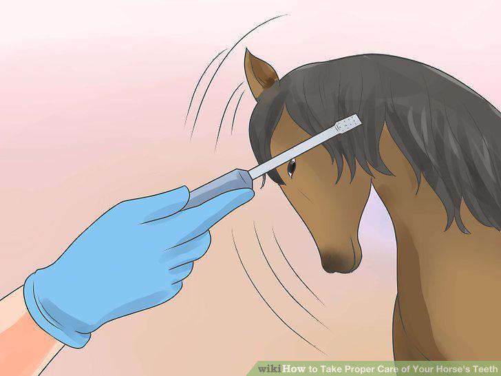 Step 16