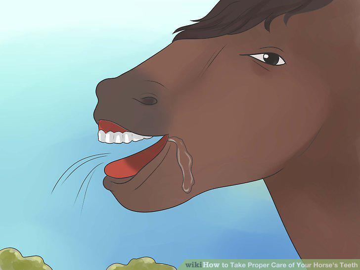 Step 17