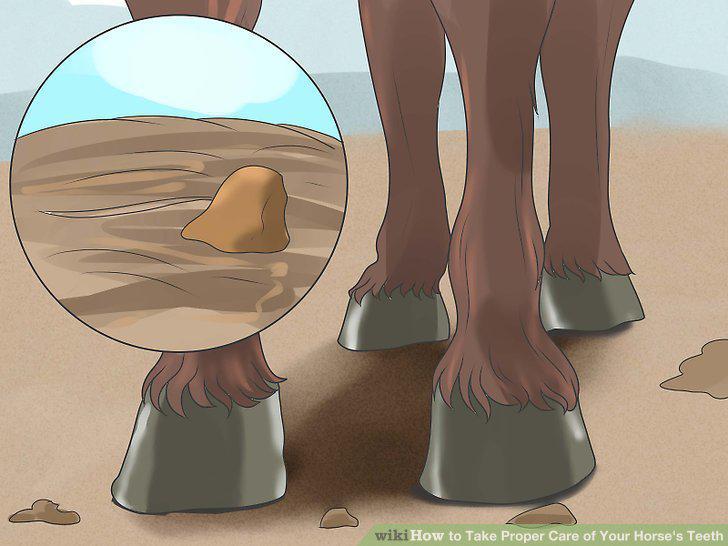 Step 18
