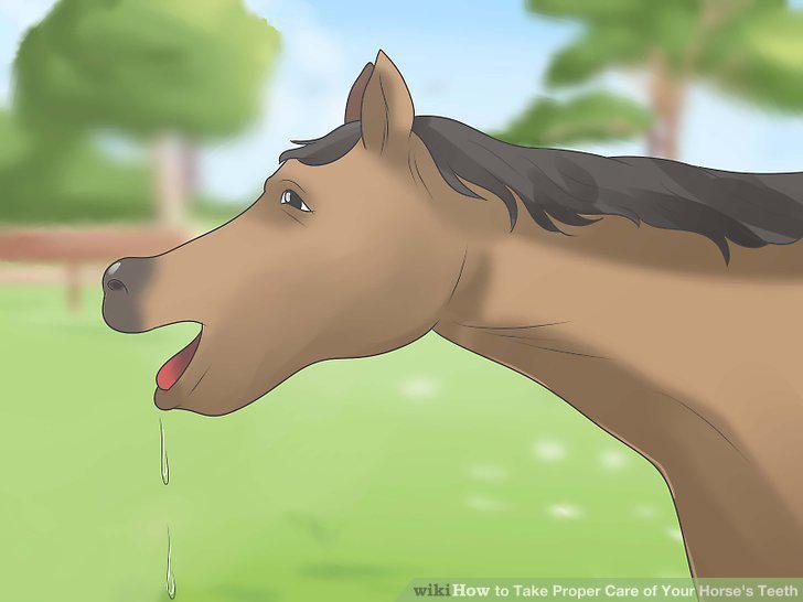 Step 19