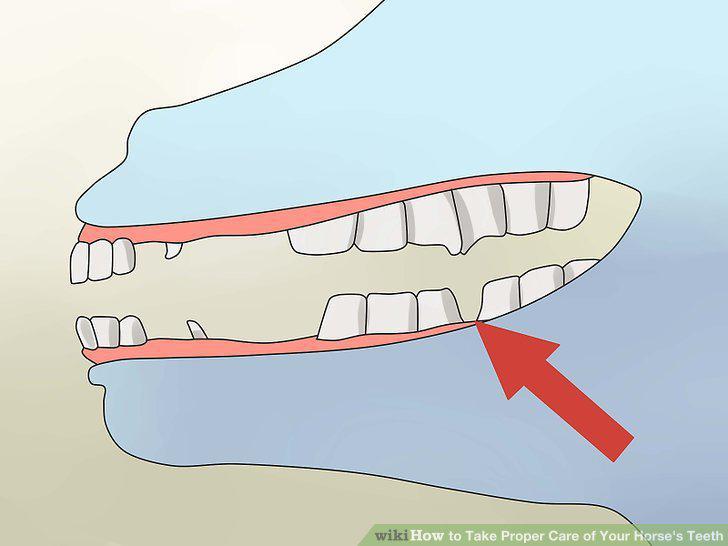 Step 4