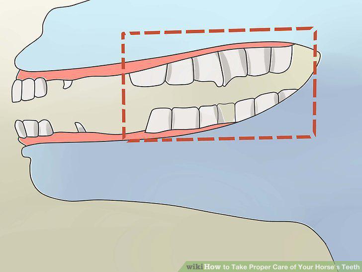 Step 5