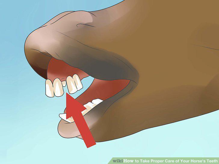Step 8