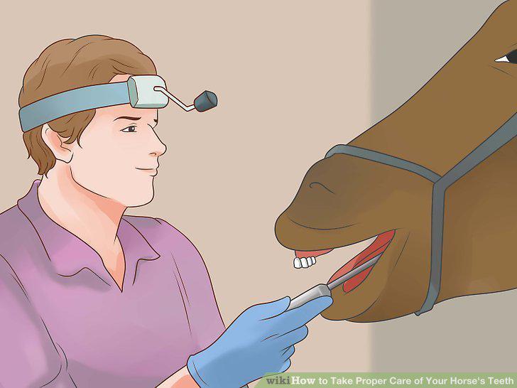 Step 10