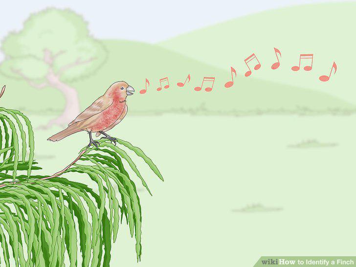 Step 16