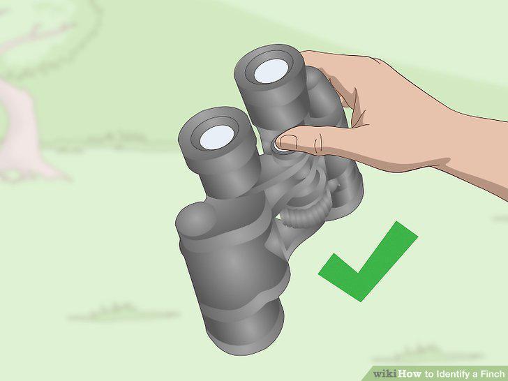 Step 22