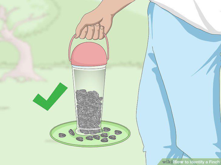 Step 25
