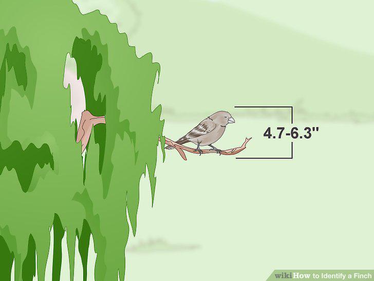 Step 6