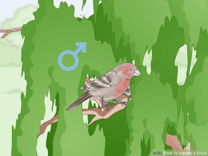 Step 7