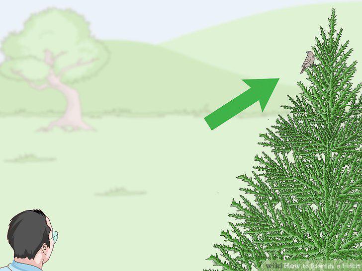 Step 10