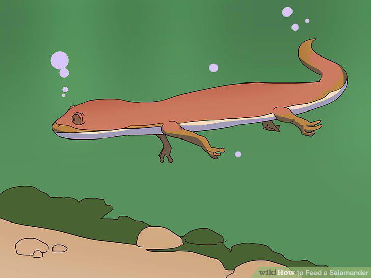 Step 12