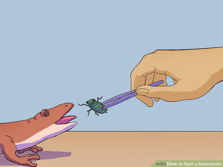 Step 13