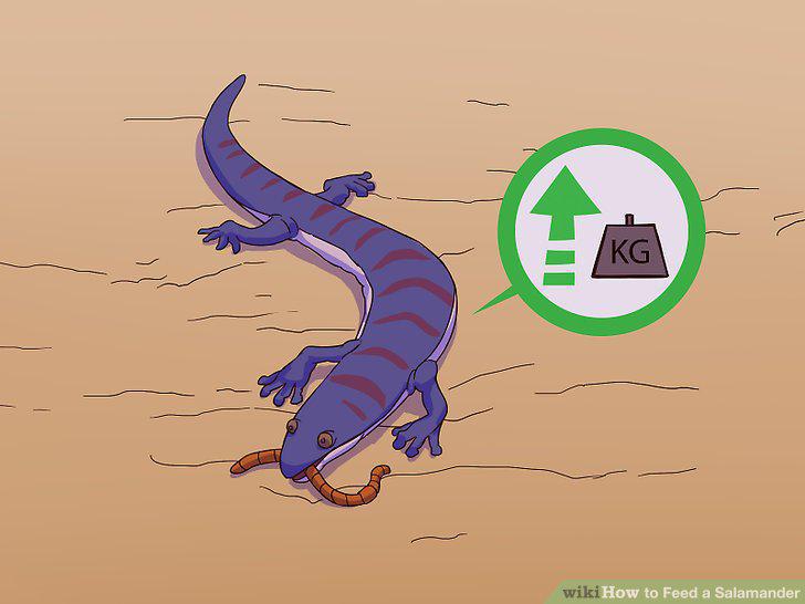 Step 14
