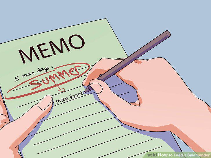 Step 15