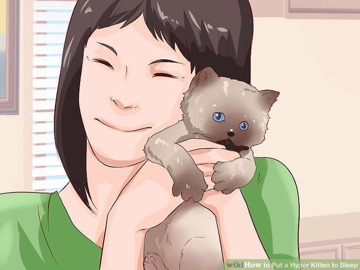 Step 11
