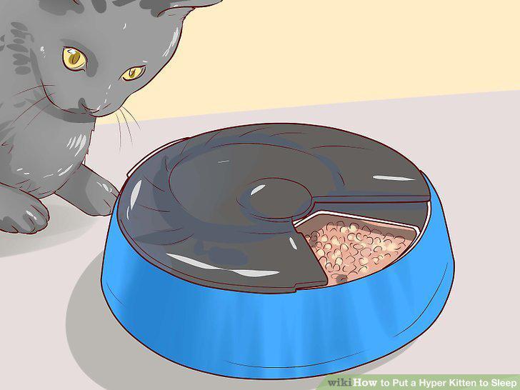 Step 12