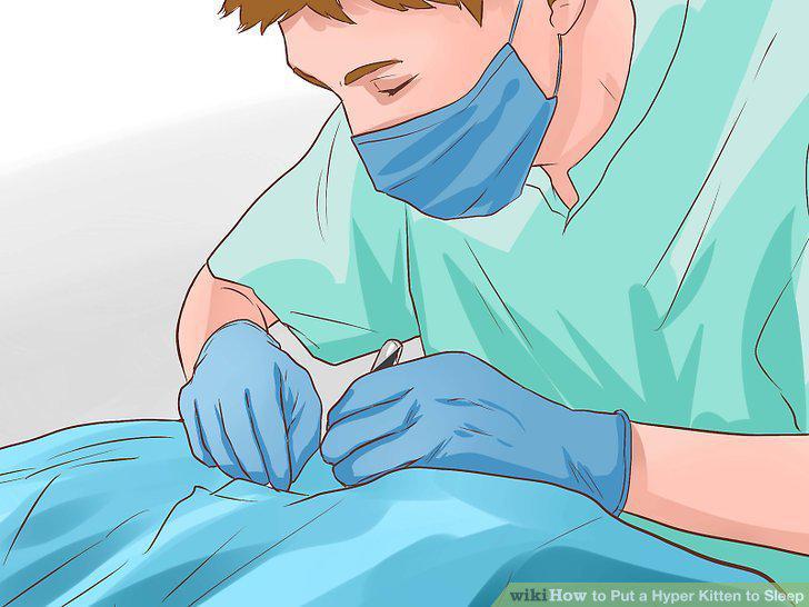 Step 13