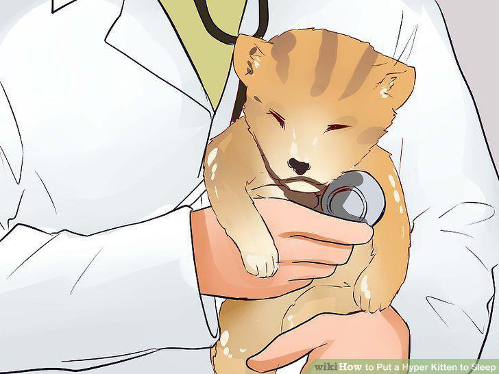 Step 14