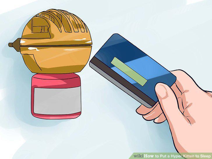 Step 15