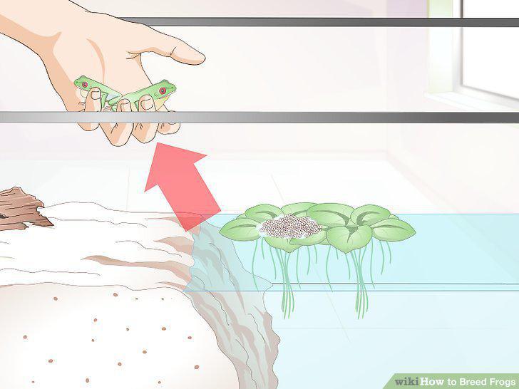 Step 11