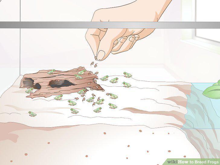 Step 13