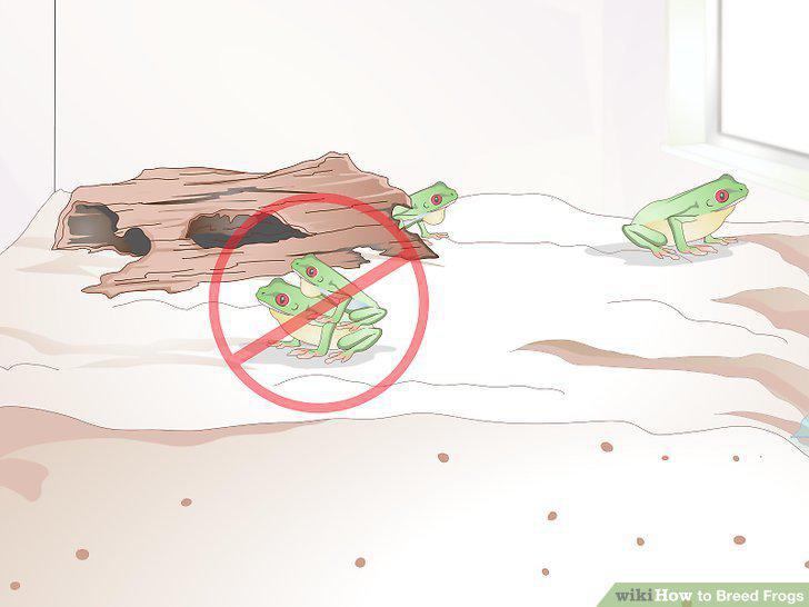 Step 14