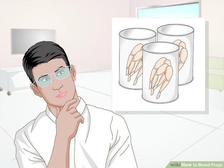 Step 15