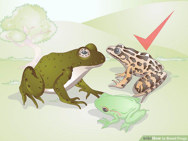 Step 17