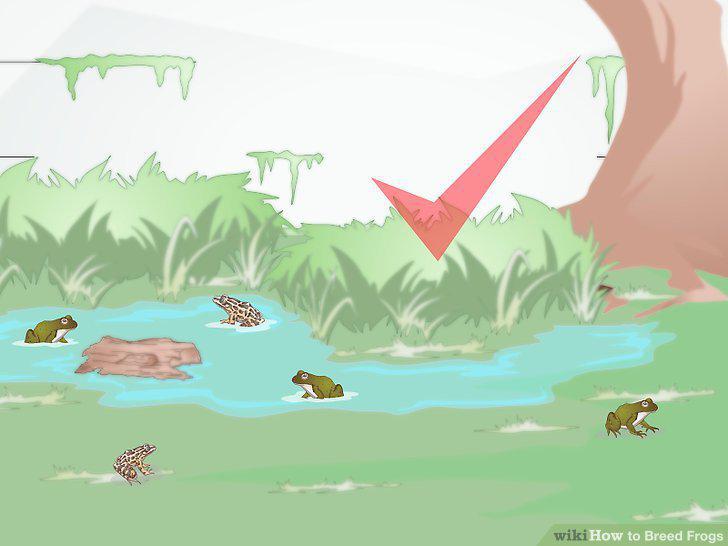 Step 21