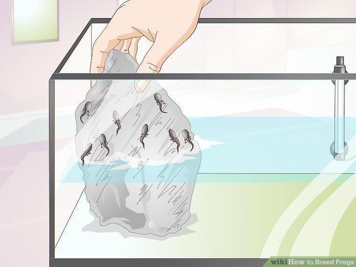 Step 5